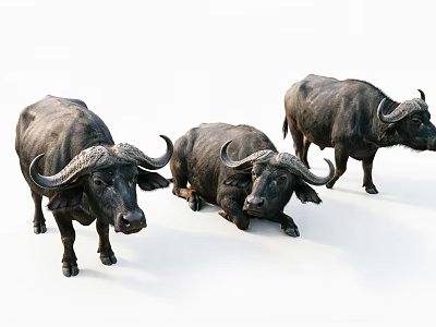 Realistic Three Piece Buffalo Figurine Ornament Decoration Set for Home Decor 3d model