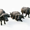 Realistic Three Piece Buffalo Figurine Ornament Decoration Set for Home Decor