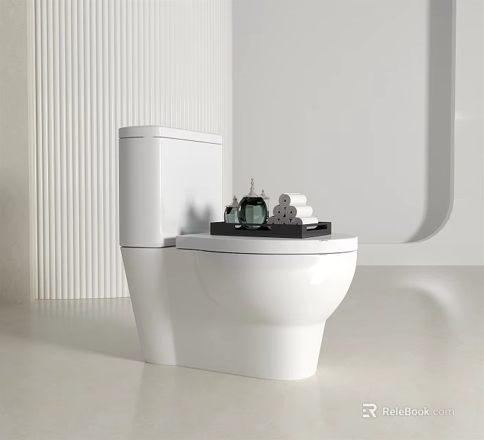Elegant Modern White Toilet Design With Tray And Bathroom Accessories 3d model 
