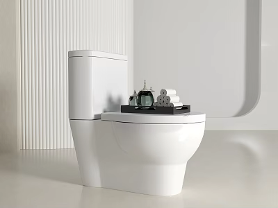 Elegant Modern White Toilet Design With Tray And Bathroom Accessories 3d model