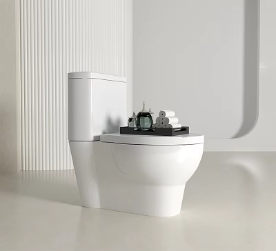 Elegant Modern White Toilet Design With Tray And Bathroom Accessories 3d model