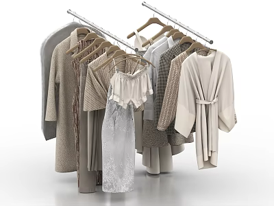 Stylish Assorted Clothes on Hangers with Robes Dresses and Coats in Neutral Tones 3d model