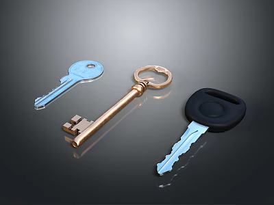 Set of Three Different Keys Including Blue Golden and Black Handled on Dark Surface 3d model