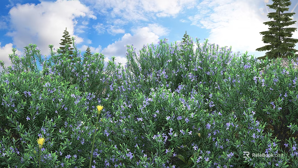 Lush Green Bushes With Purple Flowers And Yellow Blooms Under Blue Sky 3d model 