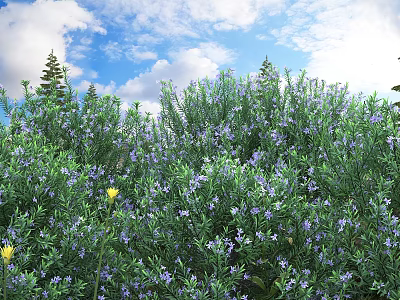 Lush Green Bushes With Purple Flowers And Yellow Blooms Under Blue Sky 3d model