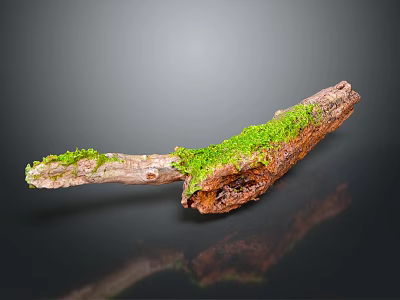 Rustic Wood Stone Branch Featuring Green Moss Natural Texture And Dark Background Reflection 3d model