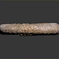 Chi chrysanthemum stone ancient fossil stone chrysanthemum fossil items 3d model