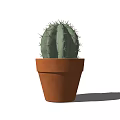 Small Green Spiky Cactus Potted Plant in Brown Terracotta Pot