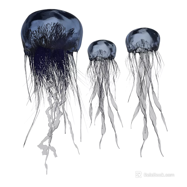 Three Graceful Jellyfish With Long Translucent Tentacles And Flowing Underwater Movements 3d model 