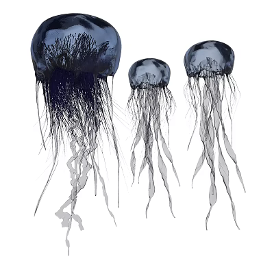 Modern Jellyfish Jellyfish Group 3d model Modern Jellyfish Jellyfish Group 3d model