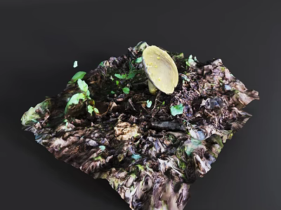 Natural Forest Floor With Mushroom Small Green Plants And Fallen Leaves 3d model