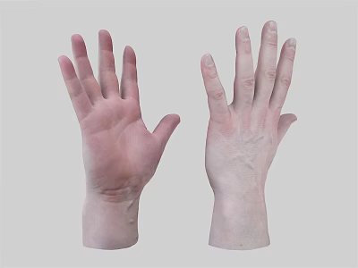 Two Human Hands With Visible Palms Fingers And Skin Texture Against Gray Background 3d model