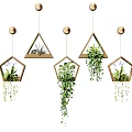 Various Shaped Hanging Planters With Trailing Green Plants For Indoor Decor 3d model