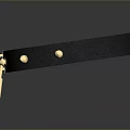 Stylish Black Collar With Gold Studs And Lock For Daily Use