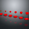 Red Flowers in Multiple Sizes and Blooming States on Black Background with Reflections