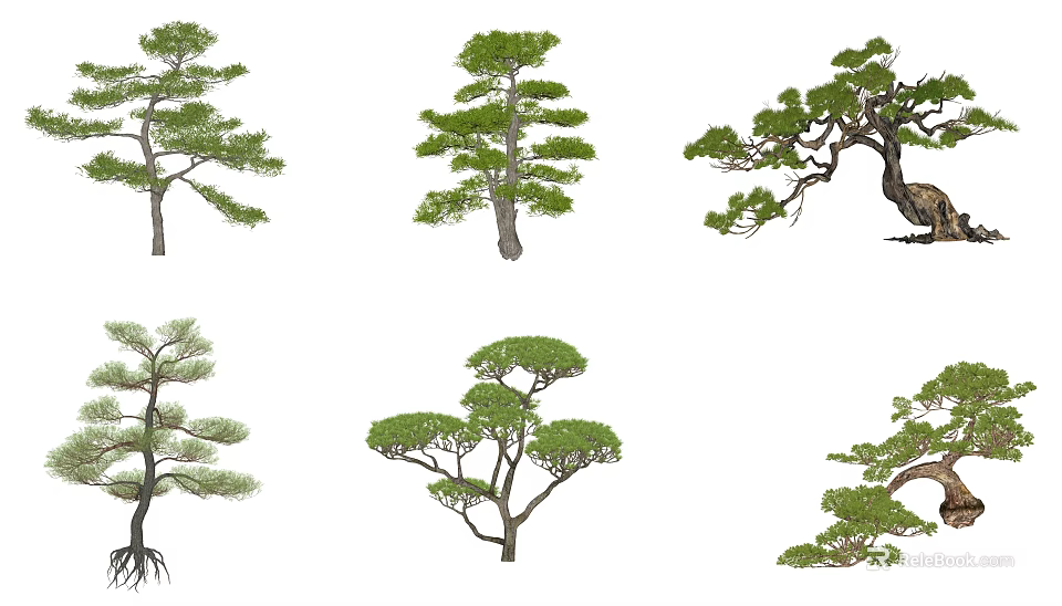 Various Arbor Tree Varieties Featuring Unique Branch Structures And Canopy Shapes 3d model 