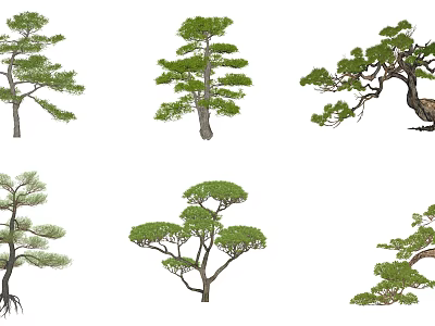 Various Arbor Tree Varieties Featuring Unique Branch Structures And Canopy Shapes 3d model