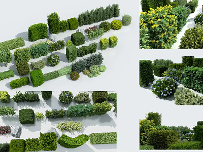 Various Types Of Decorative Shrubs With Different Shapes And Foliage For Garden Landscape Design 3d model