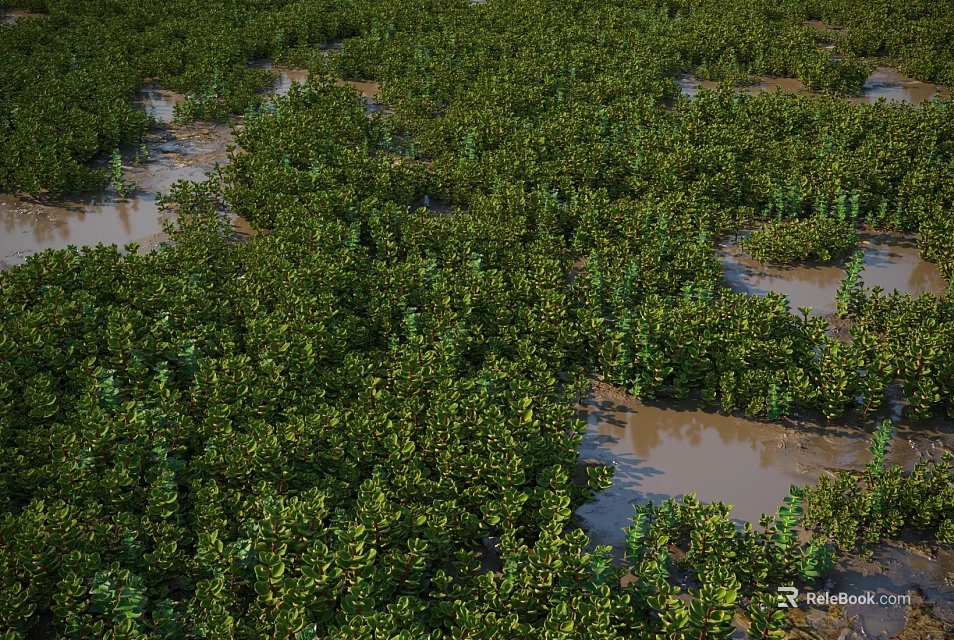 Lush Dense Green Wetland Plants Thriving in Natural Waterlogged Scenic Landscape View 3d model 