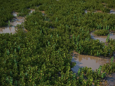 Lush Dense Green Wetland Plants Thriving in Natural Waterlogged Scenic Landscape View 3d model