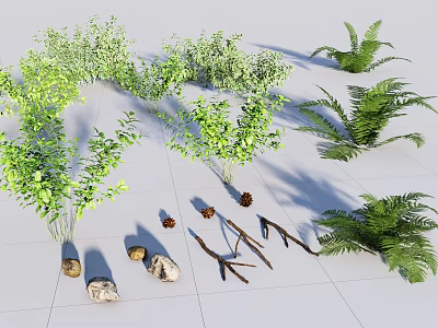 Various Green Plants Display with Stones and Branches on White Tile Floor 3d model