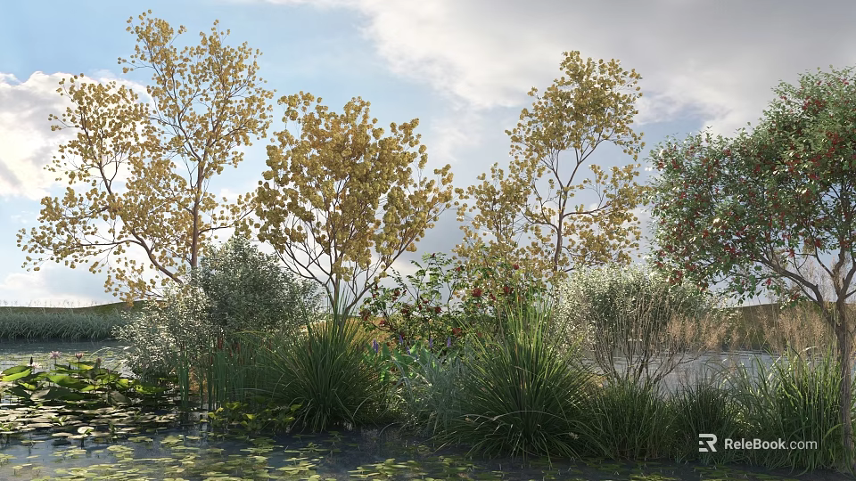Tall Trees With Yellow Leaves Surrounded By Bushes Grasses Near Water Under Blue Sky Clouds 3d model 