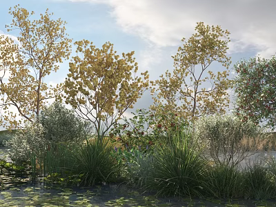Tall Trees With Yellow Leaves Surrounded By Bushes Grasses Near Water Under Blue Sky Clouds 3d model