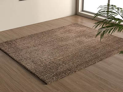Brown Woven Square Rug on Indoor Wooden Floor With Green Plant 3d model