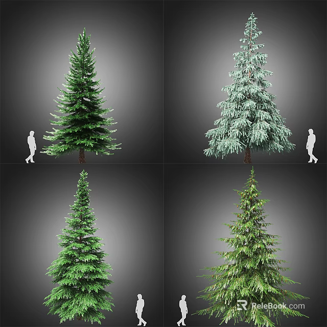 Various Evergreen Trees With Different Foliage Shapes Beside Human Figure For Scale 3d model 