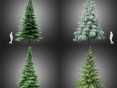 Various Evergreen Trees With Different Foliage Shapes Beside Human Figure For Scale 3d model