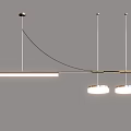Modern Pendant Lights With Geometric Linear Curved Circular Metal Frame Designs 3d model