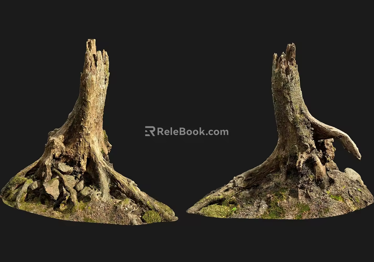 tree root moss bark trunk 3d model