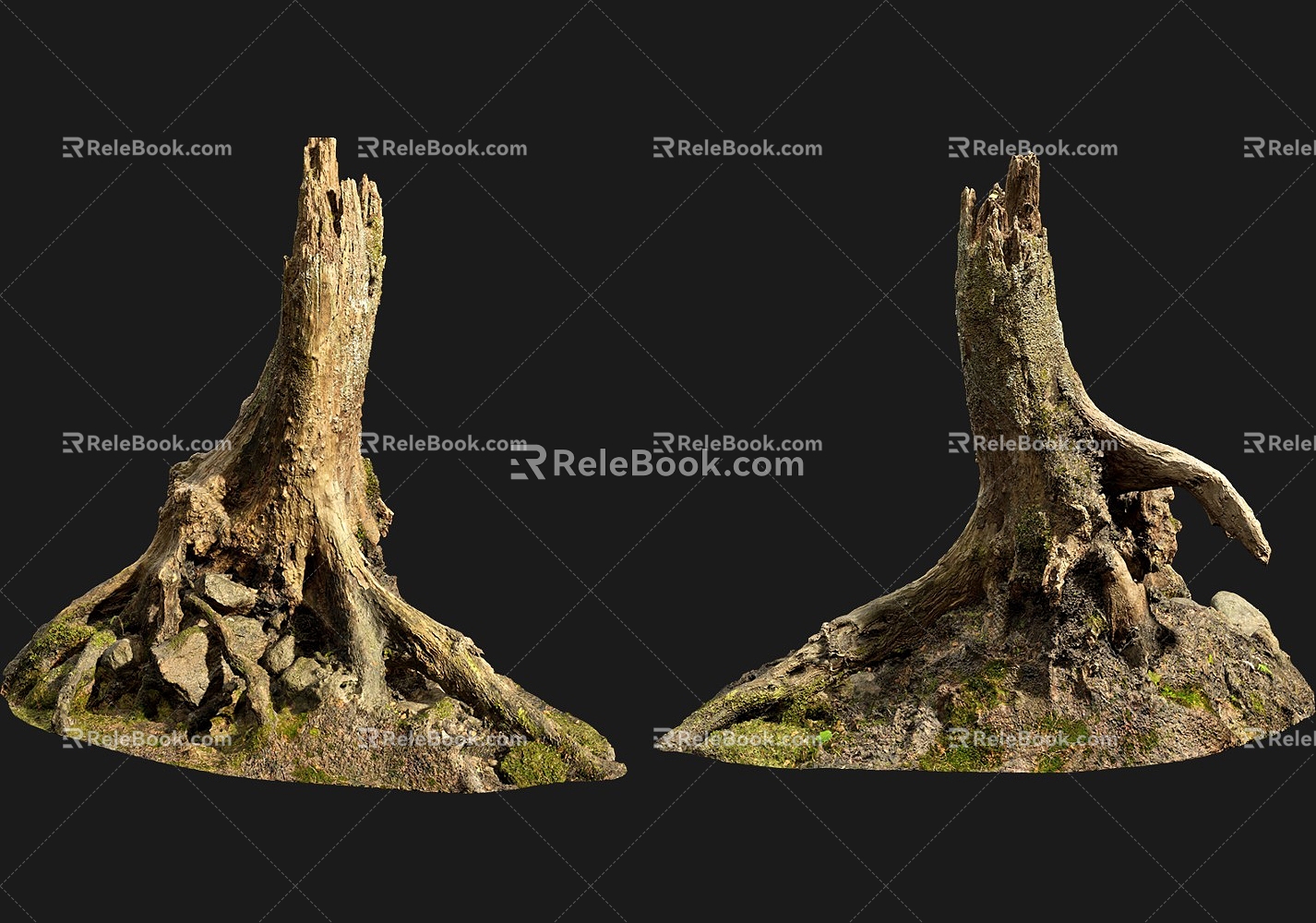 tree root moss bark trunk 3d model