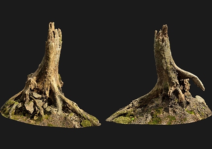 tree root moss bark trunk 3d model