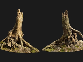 tree root moss bark trunk 3d model