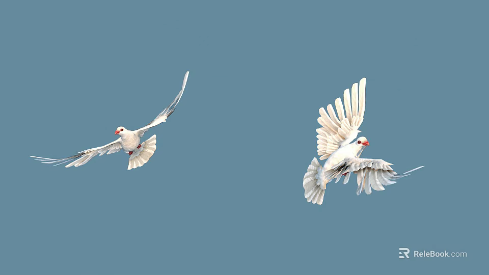 Two White Doves Flying Gracefully In Blue Sky With Spread Wings 3d model 