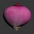 Fresh Red Onion With Vibrant Purple Color Whole Bulb Isolated On Dark Background