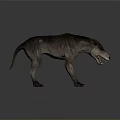 Fierce Prehistoric Wolf Like Creature 3D Model Standing With Open Mouth And Gray Reflective Ground