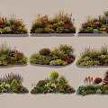 Various Colorful Flower And Herb Combinations For Garden Landscape Design