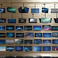Wall Mounted TVs in Various Models and Sizes Displaying Colorful Screen Visuals 3d model