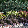 Lush Garden Landscape with Bamboo Plants Colorful Flowers Deer Statue and Stone Pebbles