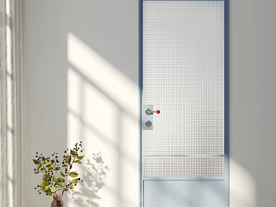 Light Blue Hinged Door With Perforated Design And Sunlight Shadow Near Potted Plant 3d model