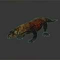 Lizard Anime Lizard Cartoon Lizard Reptile Cold Blooded Animal Reptile 3d model