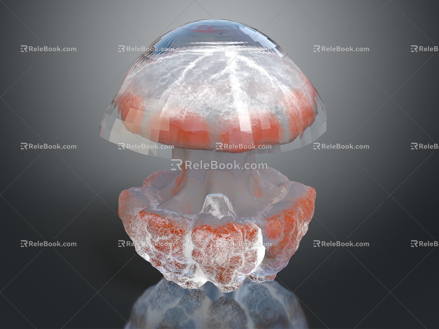 Modern Jellyfish Barrel Jellyfish Fireworks Jellyfish Silver Coin Jellyfish Flower Jellyfish 3d model