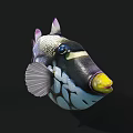 Vibrant Tropical Marine Fish With Colorful Patterns White Spots Purple Fins And Yellow Mouth