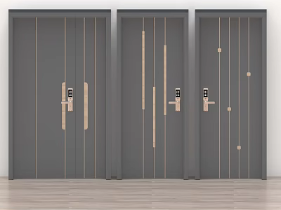 Three Grey Doors With Gold Lines And Handles In Modern Interior Design 3d model