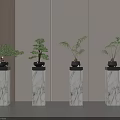 Four Bonsai Potted Plants Displayed On Marble Pedestals With Light Wall Background