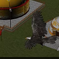 Majestic Eagle Flying High In Clear Blue Sky With Spread Wings