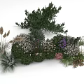 Lush Natural Garden Scene With Diverse Green Plants Colorful Flowers And Shrubs