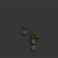 Hanging Green Plants in Metal Planters with Circular and Oval Holders on Gray Background